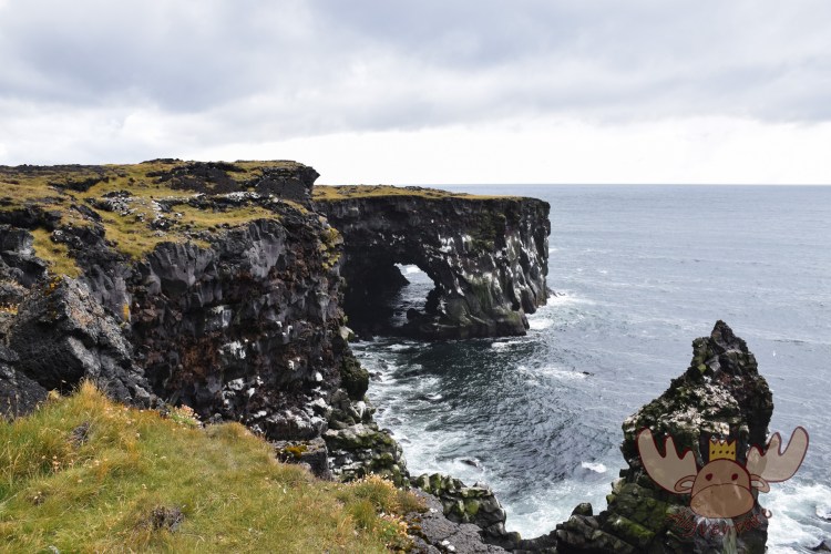 Snæfellsjökull | Am Westende der Halbinsel Snæfellsjökull beeindruckt die Steilküsten mit ihren Vogelkolonien. - At the western end of the Snæfellsjökull peninsula, the cliffs with their bird colonies are impressive.