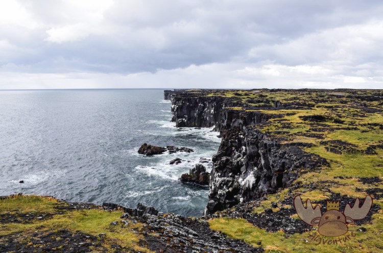 Snæfellsjökull | Am Westende der Halbinsel Snæfellsjökull beeindruckt die Steilküsten mit ihren Vogelkolonien. - At the western end of the Snæfellsjökull peninsula, the cliffs with their bird colonies are impressive.