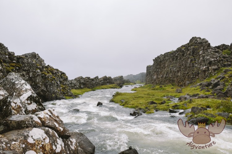 Þingvellir | Der Fluss Öxará fließt entlang der abfallenden Felsklippe. - The Öxará River flows along the sloping rocky cliff.