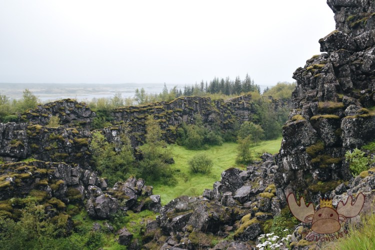 Þingvellir | Früher suchten die Menschen in diesen Tälern Schutz vor der Witterung wenn sie sich für das Alþingi versammelten. - In the past, people in these valleys sought shelter from the weather when they gathered for Alþingi.
