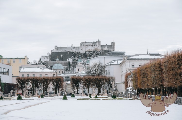 Ausblick vom Mirabellgarten auf die schneebedeckte Festung Hohensalzburg. - View of the snow-covered Hohensalzburg Fortress from Mirabell Gardens. -