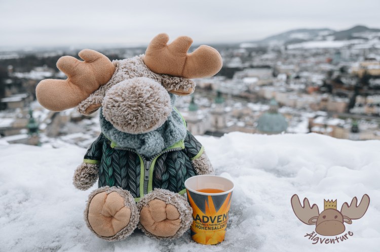Gestärkt mit Marillenpunsch genießt Älgbert den Ausblick von der Festung Hohensalzburg über die schneebedeckte Stadt. - Strengthened with apricot punch, Älgbert enjoys the view from Hohensalzburg Fortress over the snow-covered city.