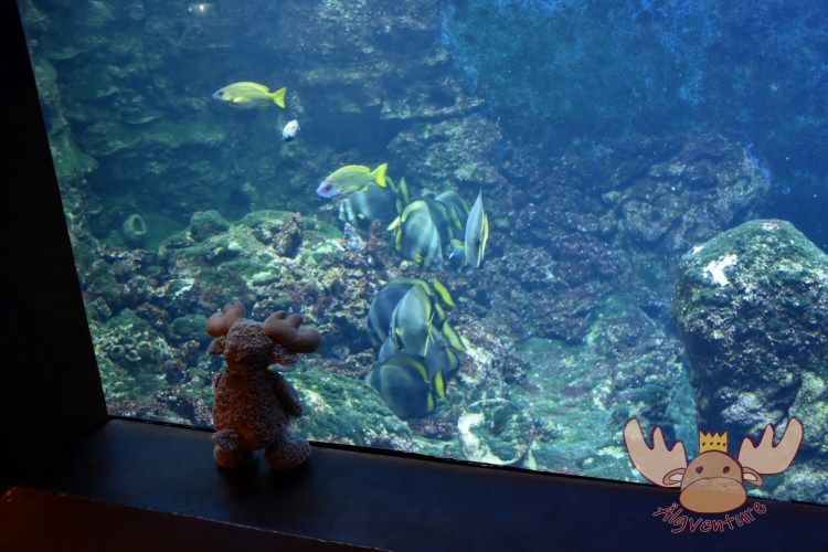 Bremerhaven | Klimahaus