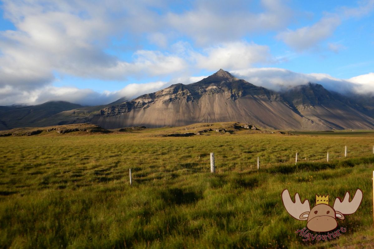 In search of elves and banana plantations – A trip to&nbsp;Iceland