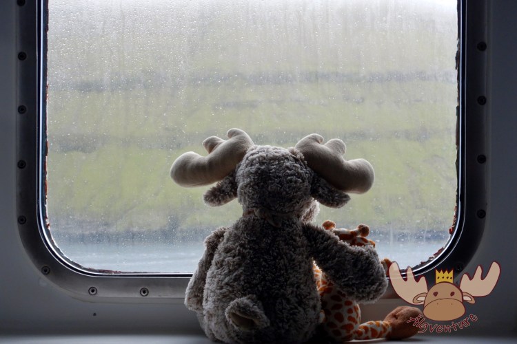 Norrönna | Die Färöer Inseln kommen in Sicht. - The Faroe Islands come into view