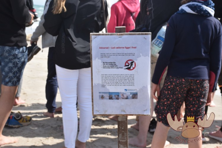 Grenen | Negativbeispiele von Touristen - Negative examples of tourists