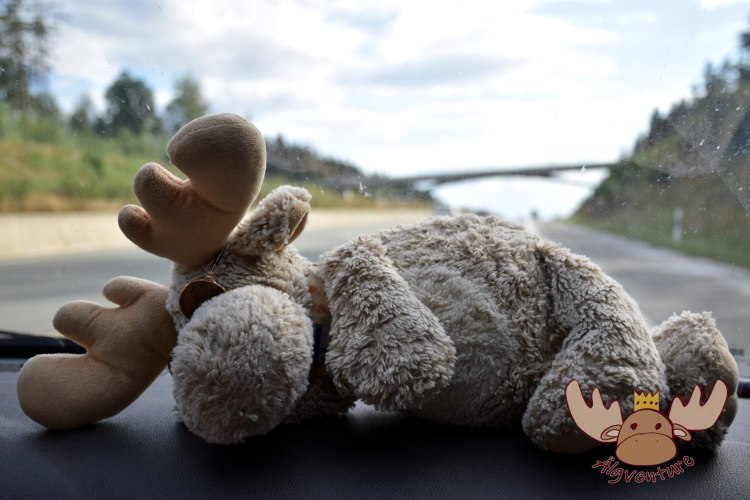 Heimreise - Journey home