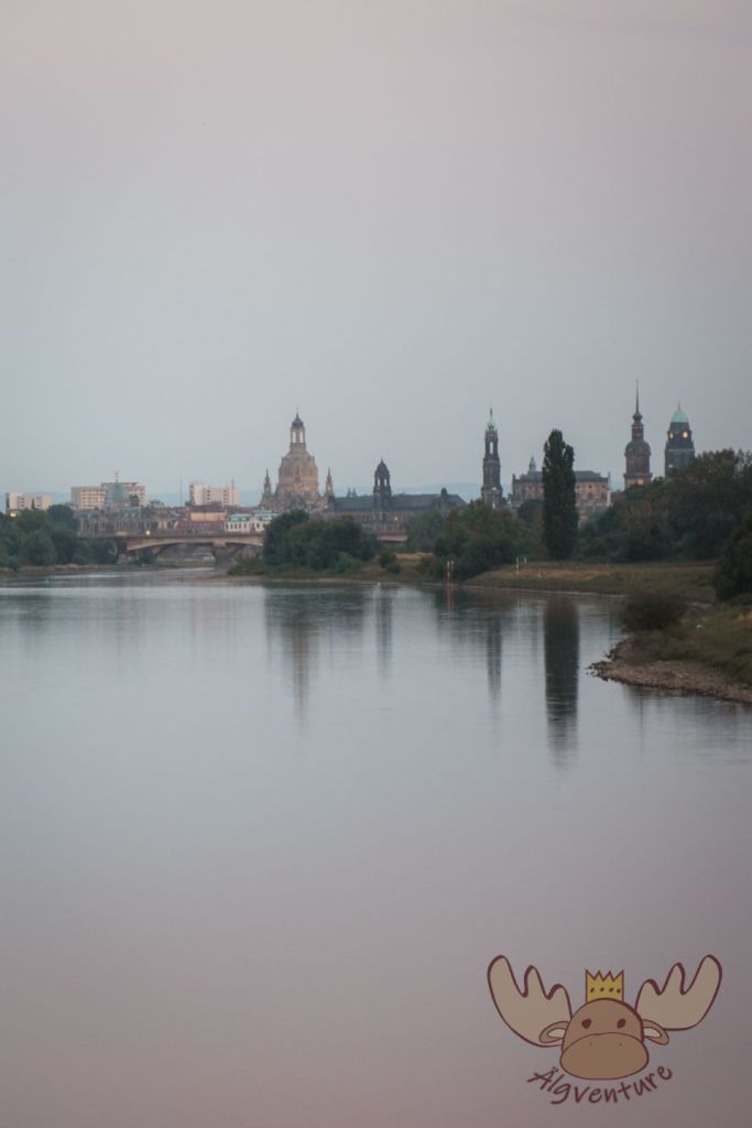 Dresden | Blick auf die Elbe - View of the Elbe