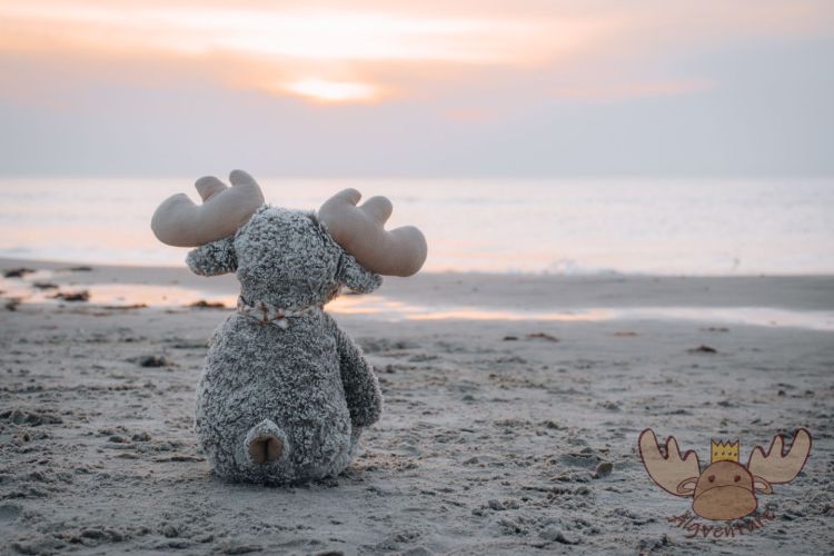 Hirtshals | Älgbert blickt sehnsüchtig hinaus aufs Meer - Älgbert looks longingly out to sea