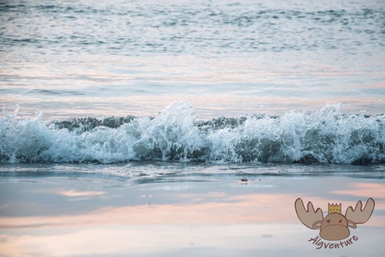 Hirtshals | Meeresrauschen - Calming sound of the sea