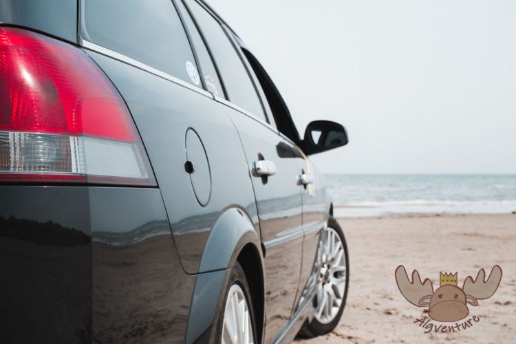 Hirtshals | Unser treuer Begleiter am Kjul Strand - Our faithful companion at Kjul Beach