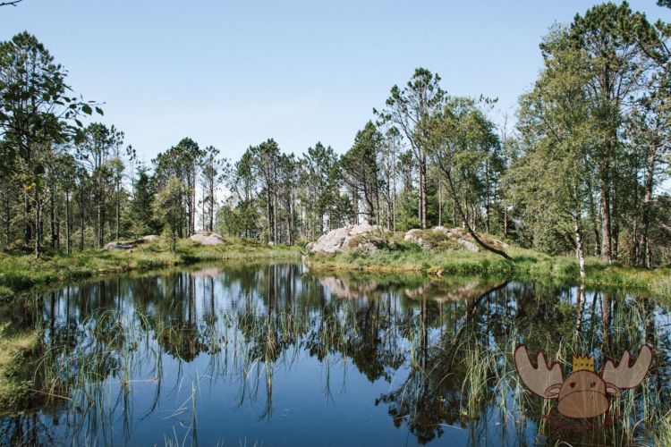 Bergen | Revurtjernet