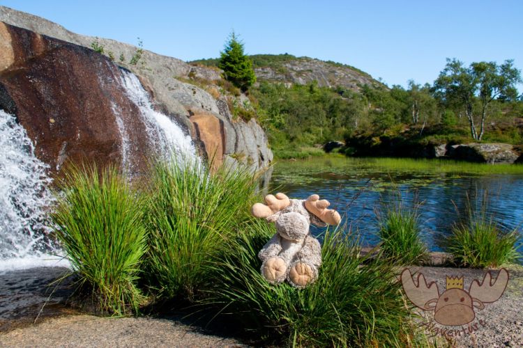 Skrelifallan Lyngdal |