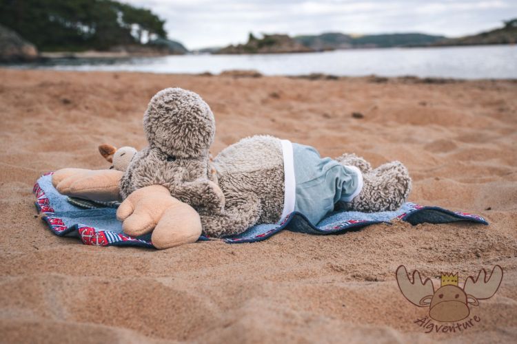 Kanelstranden | Älgbert sonnt sich - sunbathes