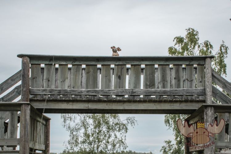 Moose af Anneröd | Ein freundlicher kleiner Elch grüßt von einer Brücke im Elchpark. - A friendly little moose greets you from a bridge in the moose park.