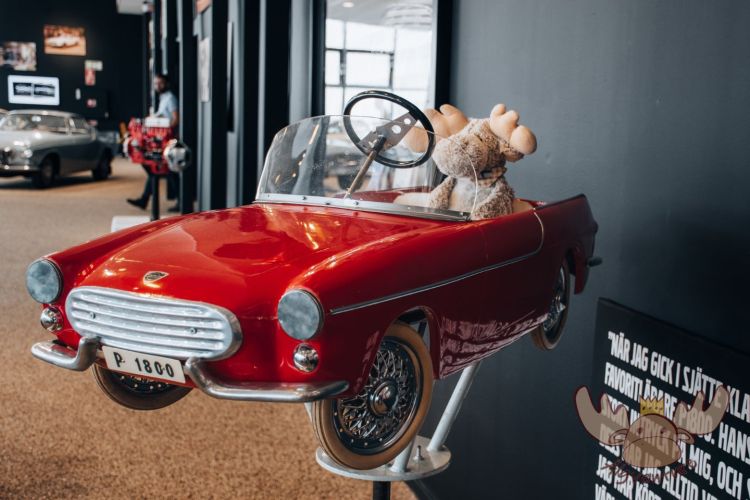 World of Volvo | Älgbert sitzt in einem Volvo P1800 in seiner Größe. - Älgbert sits in a Volvo P1800 his size.