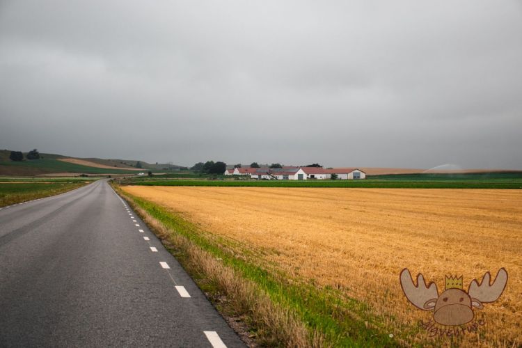 Schweden | Abgeerntete Felder vor schwarzem Himmel - Harvested fields against a black sky